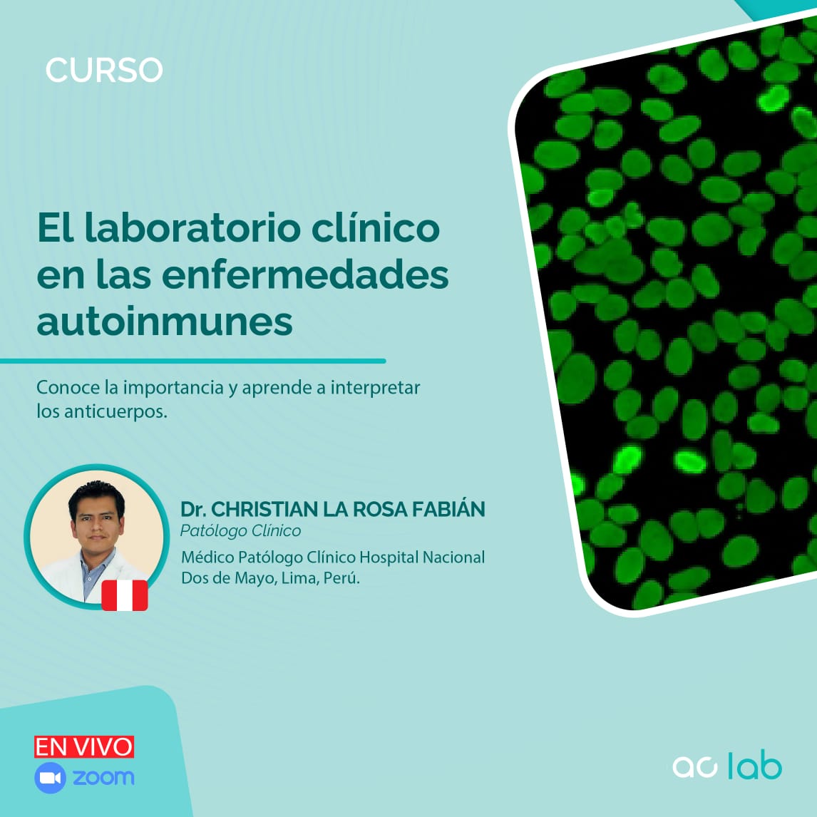 El laboratorio clínico en las enfermedades autoinmunes - 2024